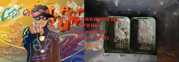 гидра Новокубанск