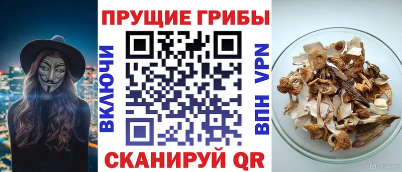 Галлюциногенные грибы мицелий  где купить наркотик  Александровск-Сахалинский 