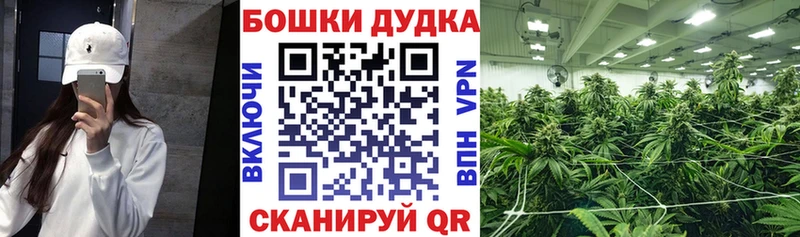 МЕГА маркетплейс  купить наркоту  Александровск-Сахалинский  МАРИХУАНА White Widow 